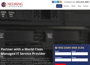 How nehring.com looks like on a tablet such as an iPad.