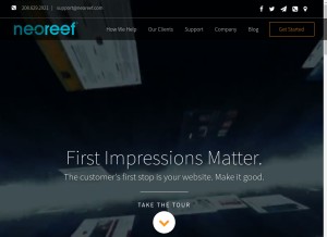 How neoreef.com looks like on a tablet such as an iPad.