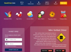 How neseliortam.com looks like on a tablet such as an iPad.