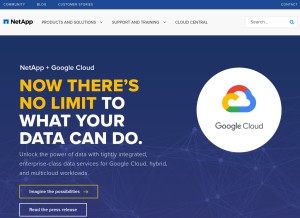 How netapp.com looks like on a tablet such as an iPad.