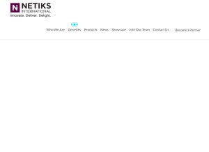 How netiks.com looks like on a tablet such as an iPad.
