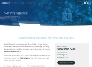 How netintelligence.com looks like on a tablet such as an iPad.