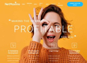 How netmaxims.com looks like on a tablet such as an iPad.
