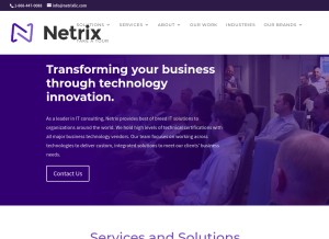 How netrixllc.com looks like on a tablet such as an iPad.