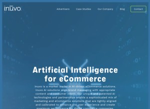 How netseer.com looks like on a tablet such as an iPad.