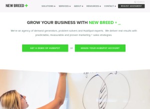 How newbreedmarketing.com looks like on a tablet such as an iPad.