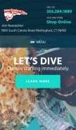 How newenglanddive.com looks like on a mobile device such as an iPhone.