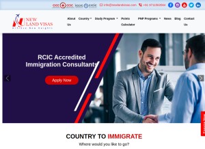 How newlandvisas.com looks like on a tablet such as an iPad.