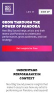 How nextbigsound.com looks like on a mobile device such as an iPhone.