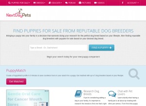 How nextdaypets.com looks like on a tablet such as an iPad.