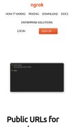 How ngrok.com looks like on a mobile device such as an iPhone.