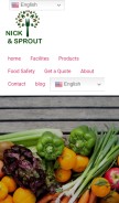 How nicksprout.com looks like on a mobile device such as an iPhone.