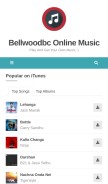 How nicolecaggiano.com looks like on a mobile device such as an iPhone.