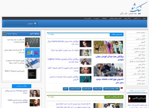 How niksho.com looks like on a tablet such as an iPad.