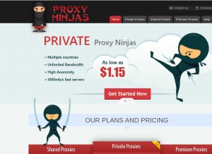 How ninjasproxy.com looks like on a tablet such as an iPad.