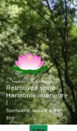 How nouvelle-renaissance.fr looks like on a mobile device such as an iPhone.