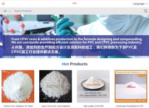 How novistachem.com looks like on a tablet such as an iPad.