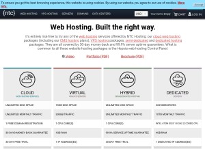 How ntchosting.com looks like on a tablet such as an iPad.