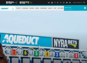 How nyra.com looks like on a tablet such as an iPad.