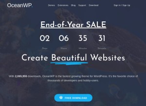 How oceanwp.org looks like on a tablet such as an iPad.