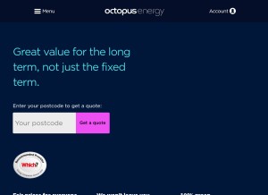 How octopus.energy looks like on a tablet such as an iPad.