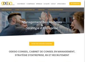 How odegoconseil.com looks like on a tablet such as an iPad.