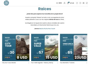 How ofertas.machupicchuperutours.com looks like on a tablet such as an iPad.