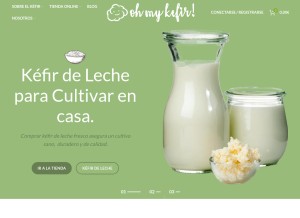 How ohmykefir.com looks like on a tablet such as an iPad.