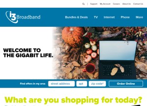 How omnilec.com looks like on a tablet such as an iPad.