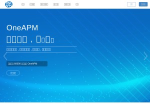 How oneapm.com looks like on a tablet such as an iPad.
