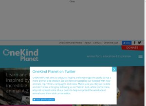 How onekindplanet.org looks like on a tablet such as an iPad.