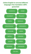 How onlinefreetranslator.com looks like on a mobile device such as an iPhone.