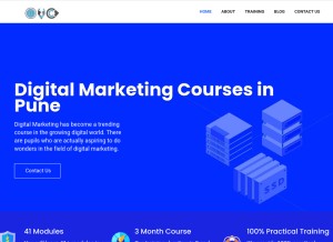 How onlinemarketingcourse.in looks like on a tablet such as an iPad.