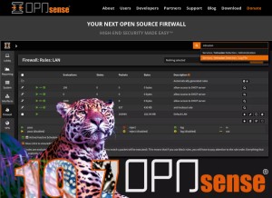 How opnsense.org looks like on a tablet such as an iPad.