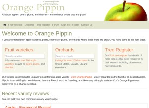 How orangepippin.com looks like on a tablet such as an iPad.