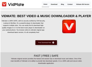 How originalvidmate.com looks like on a tablet such as an iPad.