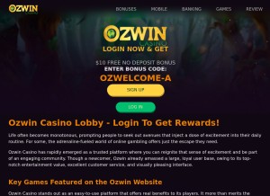 How ozwin.co looks like on a tablet such as an iPad.