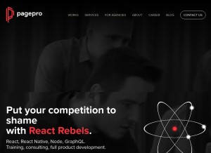 How pagepro.co looks like on a tablet such as an iPad.