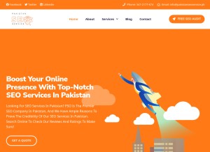 How pakistanseoservice.pk looks like on a tablet such as an iPad.
