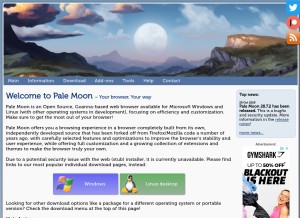 How palemoon.org looks like on a tablet such as an iPad.