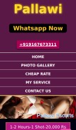 How pallawi.com looks like on a mobile device such as an iPhone.