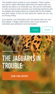 How panda.org looks like on a mobile device such as an iPhone.