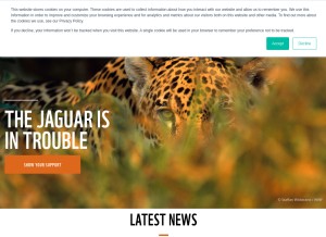 How panda.org looks like on a tablet such as an iPad.