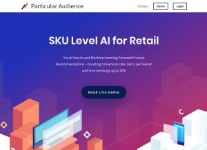 How particularaudience.com looks like on a tablet such as an iPad.