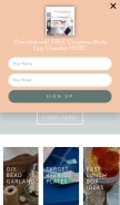 How passionatepennypincher.com looks like on a mobile device such as an iPhone.