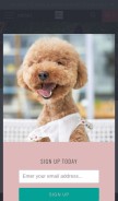 How pawspurrs.com looks like on a mobile device such as an iPhone.