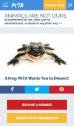 How peta.org looks like on a mobile device such as an iPhone.