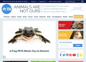 How peta.org looks like on a tablet such as an iPad.