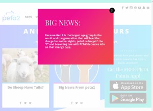 How peta2.com looks like on a tablet such as an iPad.
