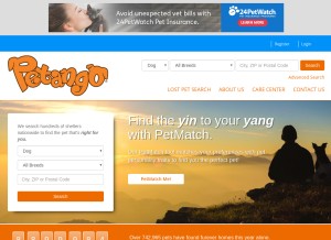 How petango.com looks like on a tablet such as an iPad.